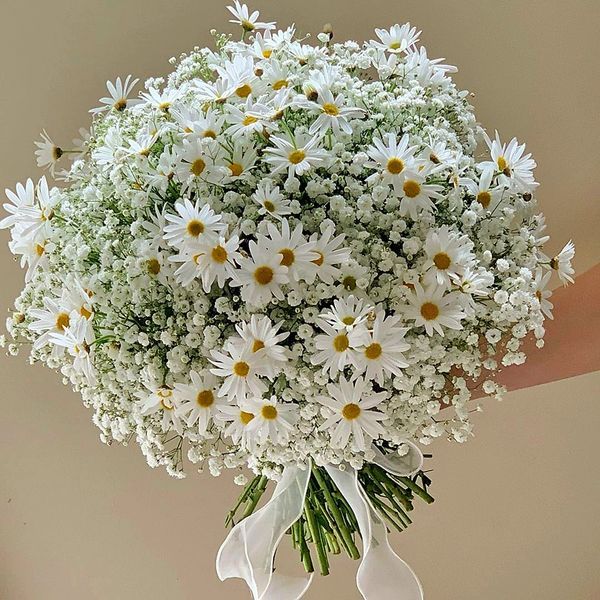 a bouquet of white daisies and baby's breath