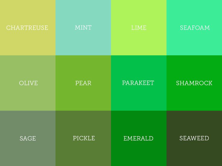 color swatches with the words seaweed, mint, lime, and peal