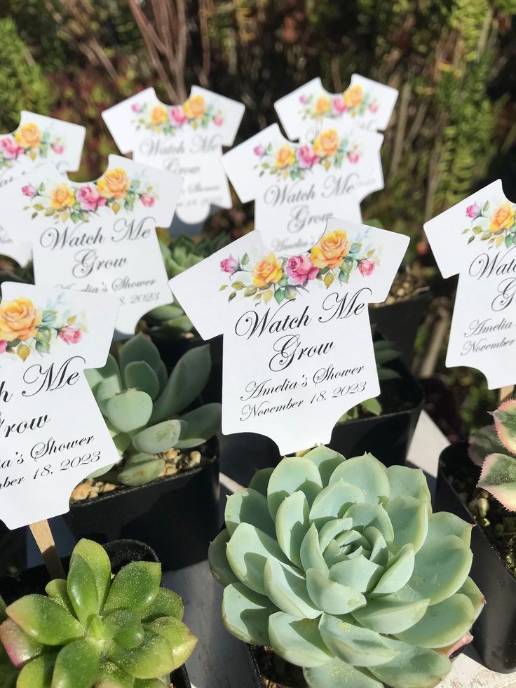 there are many succulents in small pots with name tags on each one