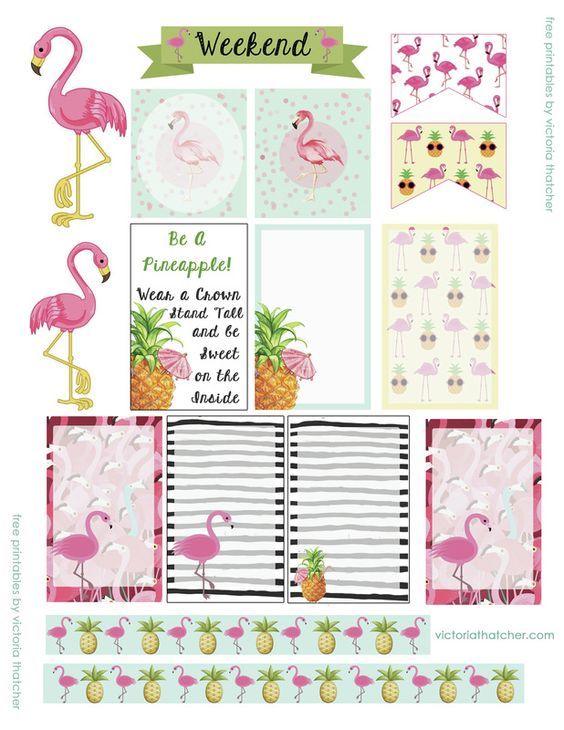 pink flamingos and pineapples are featured in this printable scrapbook page