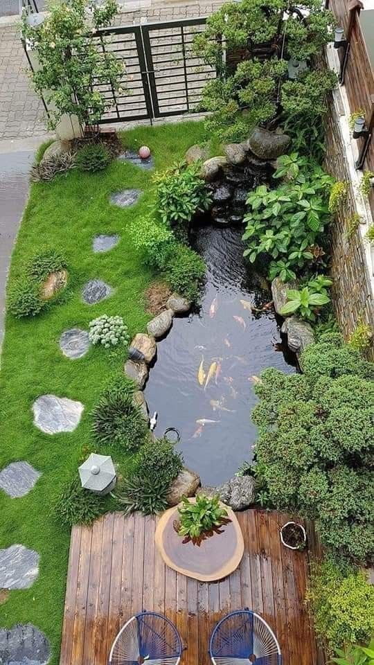 a small backyard garden with a pond and wooden decking area, surrounded by green grass