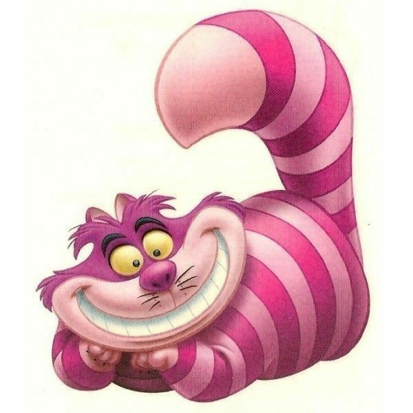 an image of a cartoon cat with big eyes and pink stripes on it's body