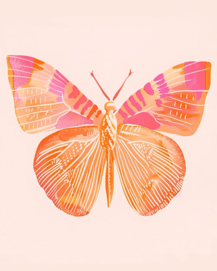 an orange and pink butterfly with stripes on it's wings, against a white background