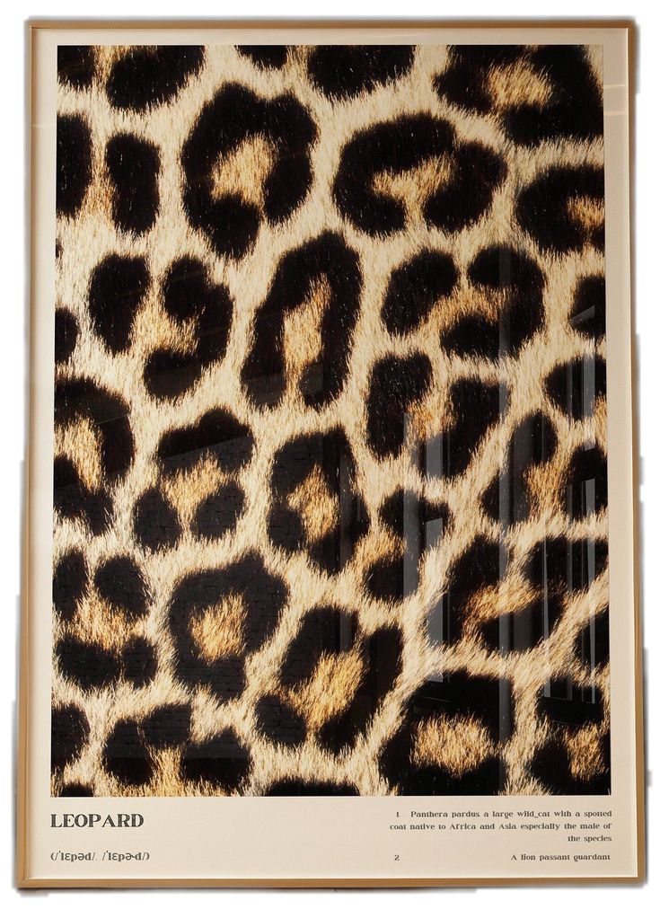 an animal print is shown on the back of a leopard print wall hanging in front of a white background