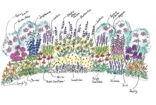 a garden plot with many different plants and flowers in it, all labeled by their names