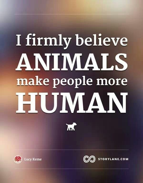 an image of a quote on animals that says i firmly believe animals make people more human