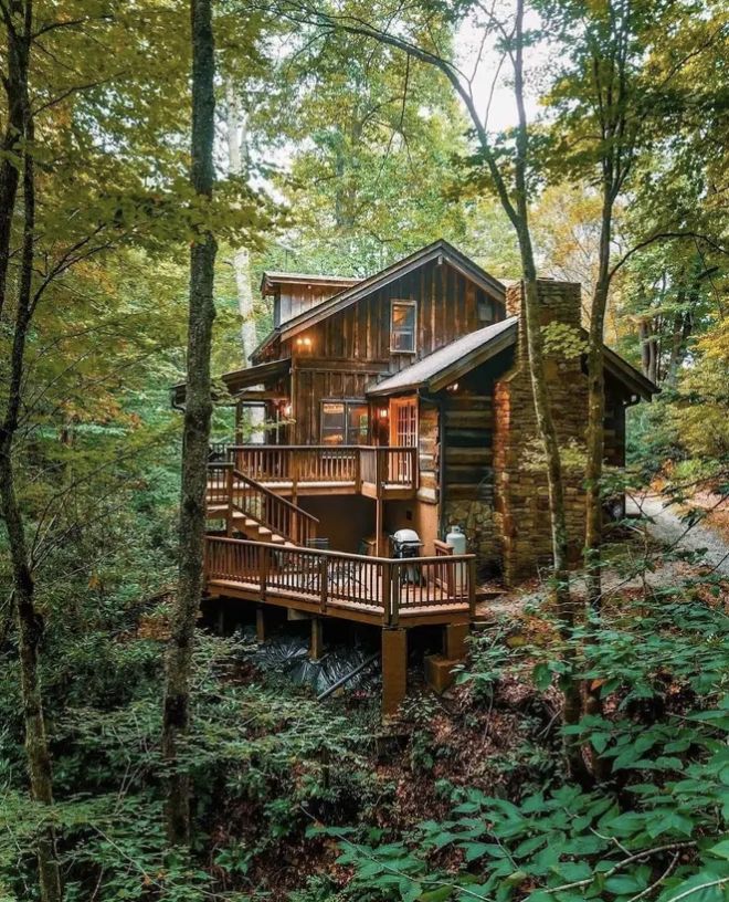 a log cabin in the woods surrounded by trees and foliage, with stairs leading up to it