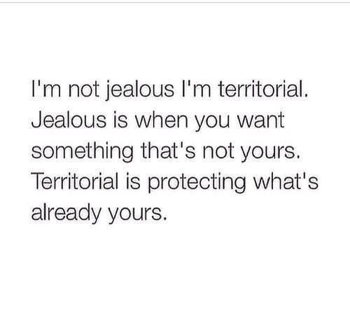 a quote that reads, i'm not jelloous i'm territorial jesus is when you want something that's not yours