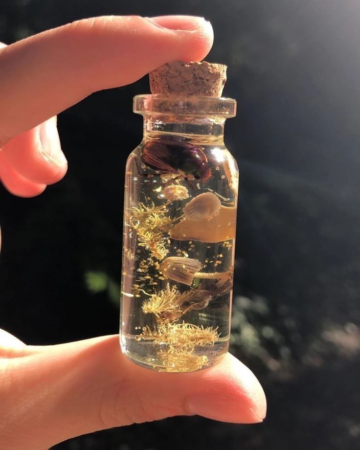 a hand holding a tiny glass bottle filled with rocks and plants