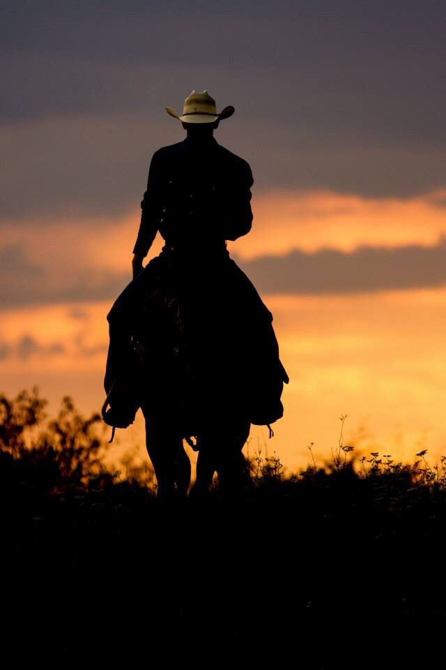 the silhouette of a cowboy riding his horse at sunset