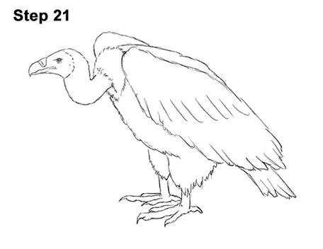 a drawing of a bird with the words step 21