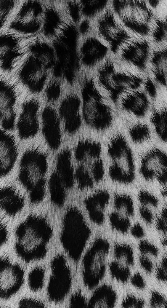 an animal print pattern is shown in black and white colors on a fur texture background