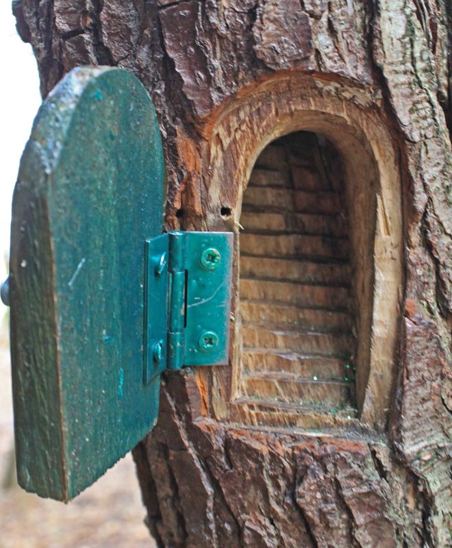 a tree with a hole in the bark and a green door on it's side