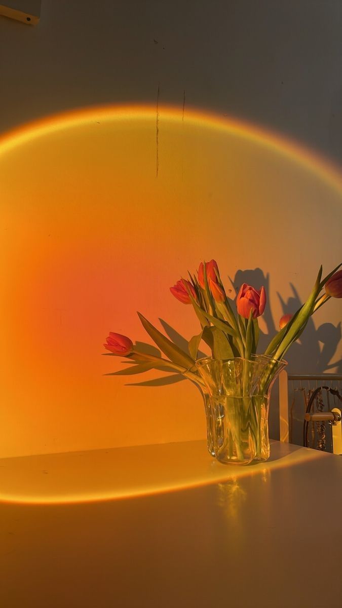 a vase filled with red flowers sitting on top of a table under a rainbow colored sky