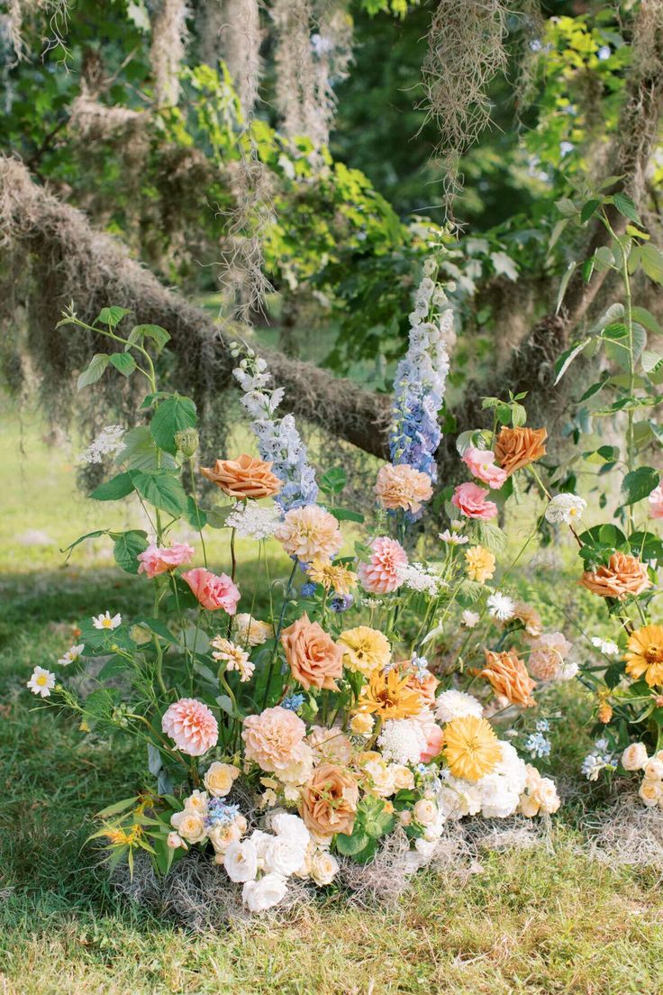 a bunch of flowers that are sitting in the grass near some trees and bushes with moss on them