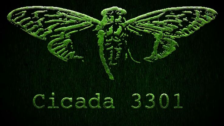 the cicada 3501 logo is illuminated in green