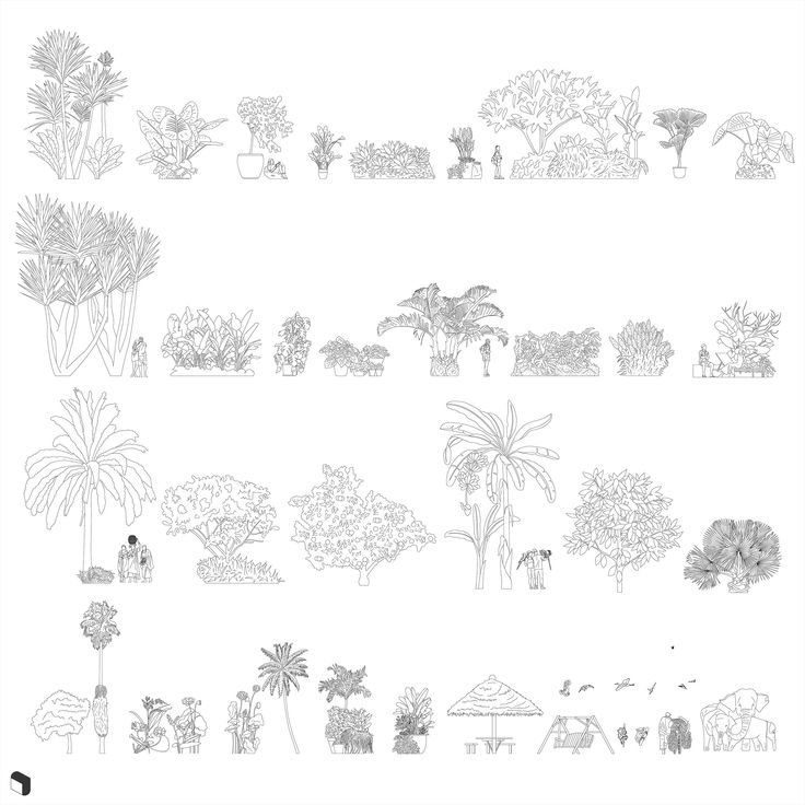 Cad Tropical Garden Vegetation DWG | Toffu Co Plants Photoshop, Landscape Architecture Diagram, Architectural Presentation, Graphic Design Books, Architecture Collage, Architecture Graphics, Architecture Concept Drawings, Plan Drawing, Cad Blocks