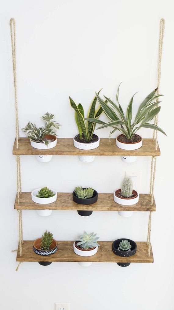 some plants are hanging on the wall with rope and potted plants in them,