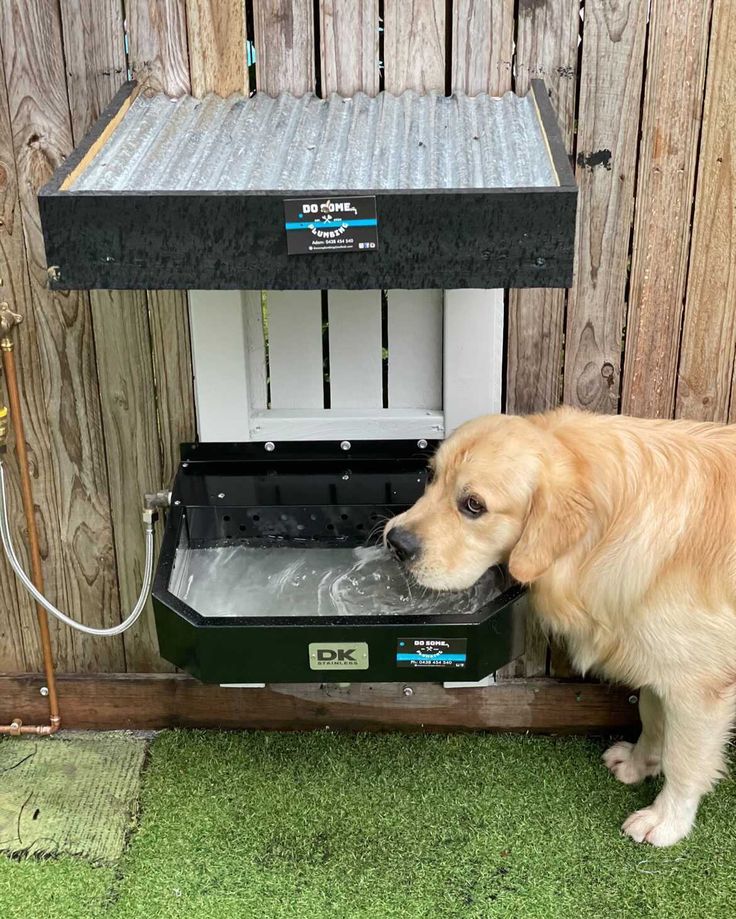 a large brown dog standing next to a wooden fence with a water dish in it's mouth