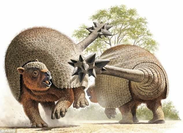 Prehistoric Wildlife, Prehistoric World, Ancient Animals, Prehistoric Art, Paleo Art, Extinct Animals, Charles Darwin, Prehistoric Creatures, Prehistoric Animals