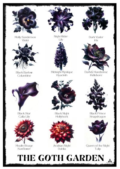 an image of flowers that are in the middle of a poster with words on it