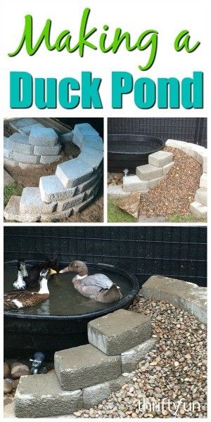 a collage of pictures showing how to make a duck pond with rocks and gravel