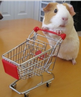 a brown and white hamster sitting next to a shopping cart on a wooden table