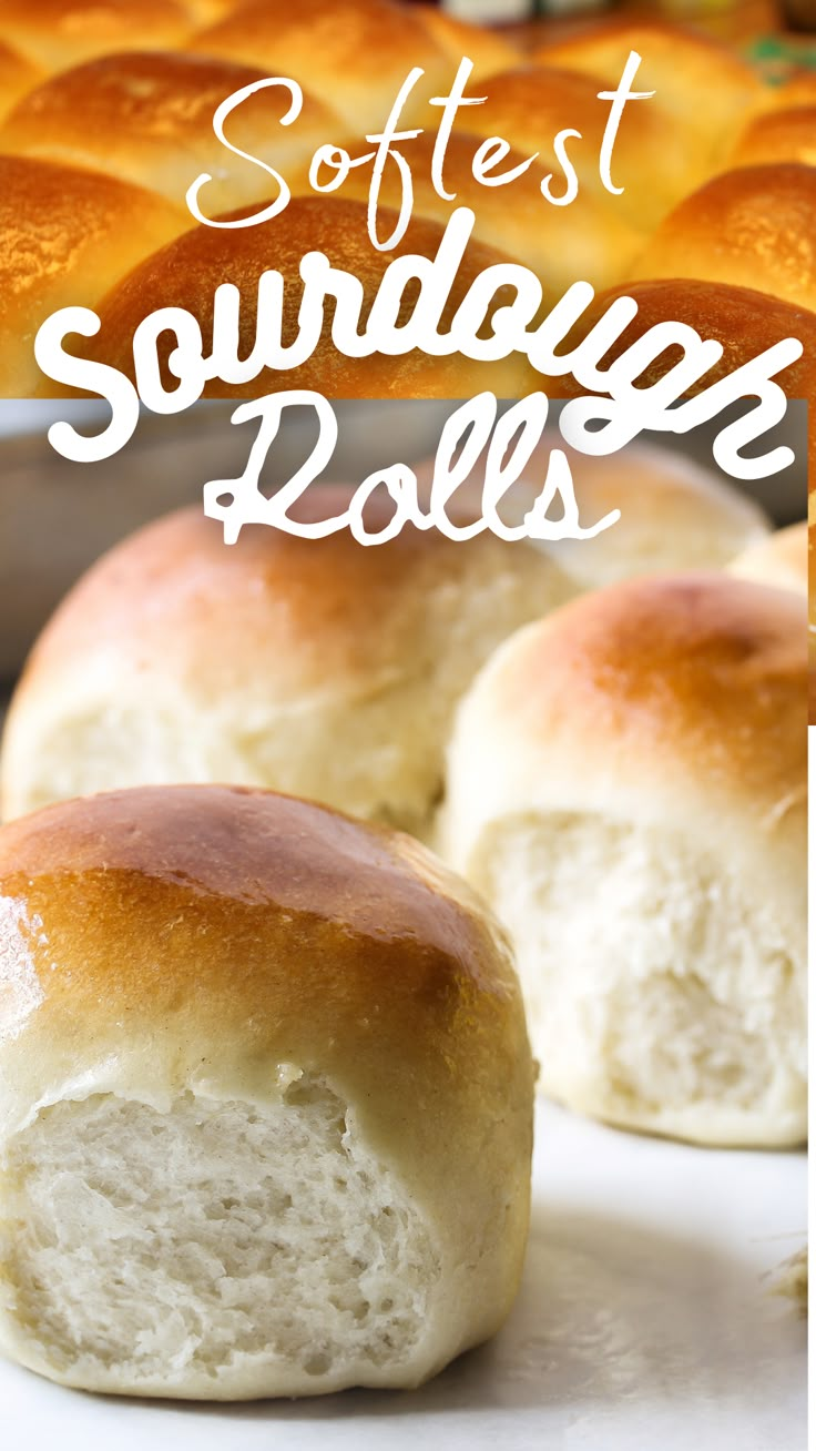 softest sourdough rolls with the title overlay