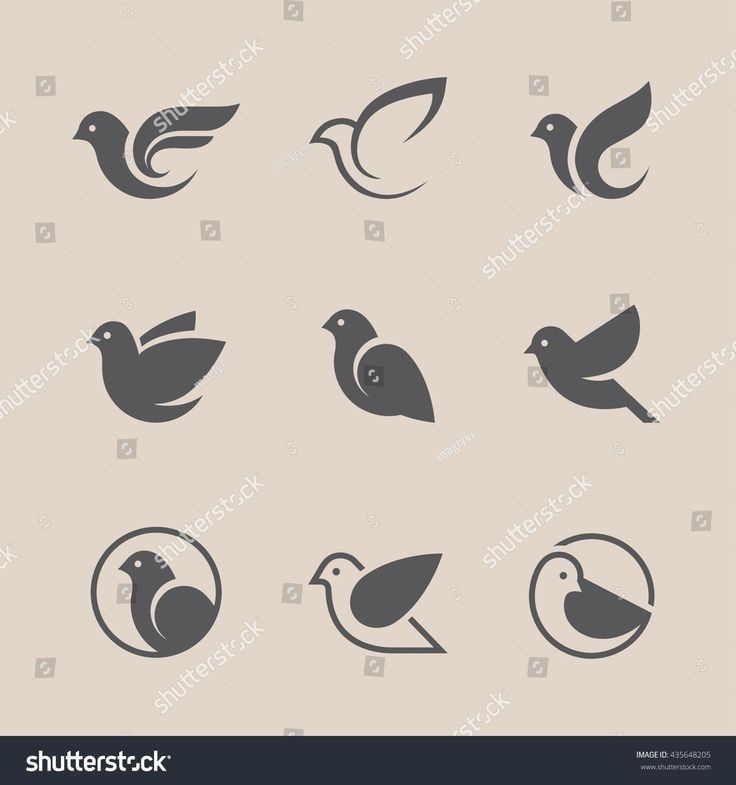 birds icons set on grey background