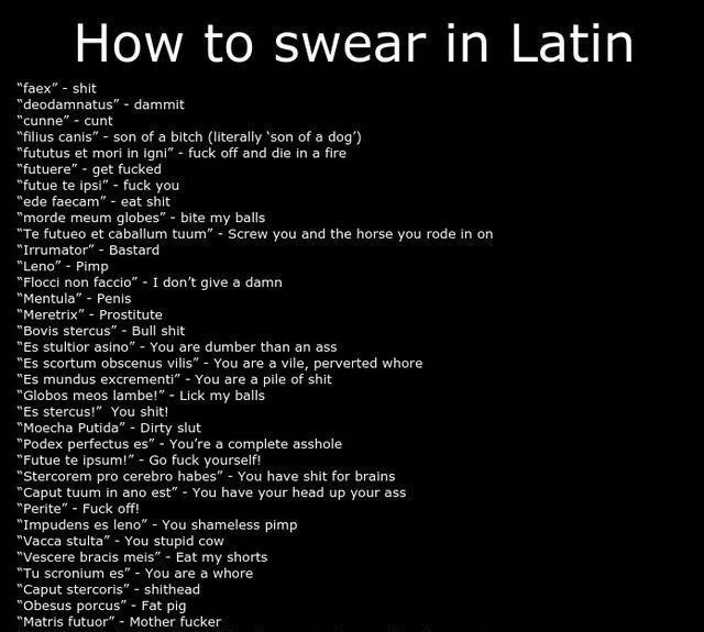 a black screen with the words how to swear in latin on it and an image of a