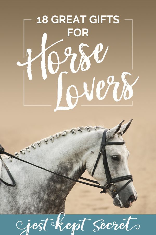 Horse Lover Quotes, Pinterest Post Ideas, Horse Lover Gift Ideas, Gifts For Equestrians, Equestrian Gift Ideas, Aesthetic Equestrian, Horse Gift Ideas, Nature Themed Gifts, Horse Hair Bracelet