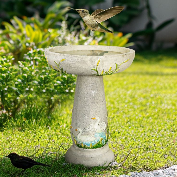 a bird is sitting on the edge of a birdbath in the grass next to a black bird