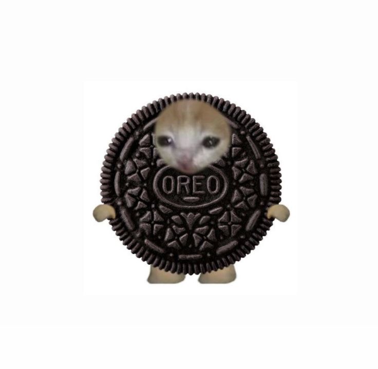 an oreo cookie with the word oreo on it's front and side