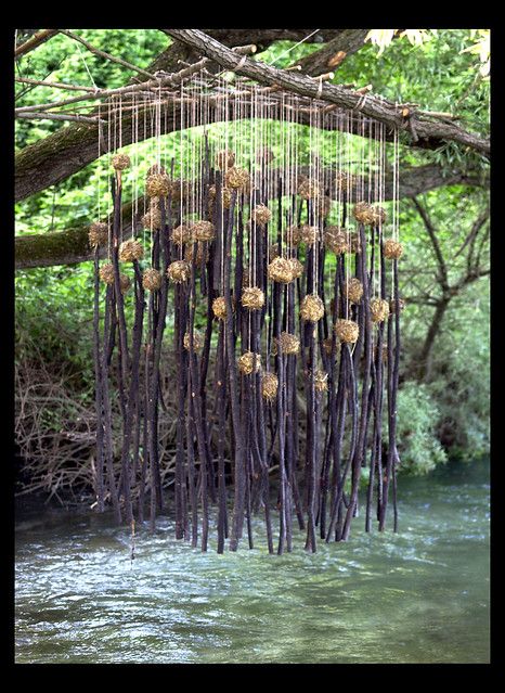 a bunch of sticks that are hanging from a tree in the water with some plants growing out of them