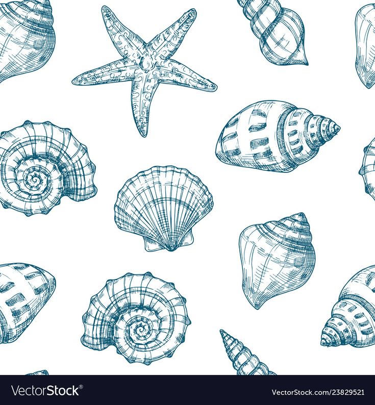 sea shells and starfish seamless background