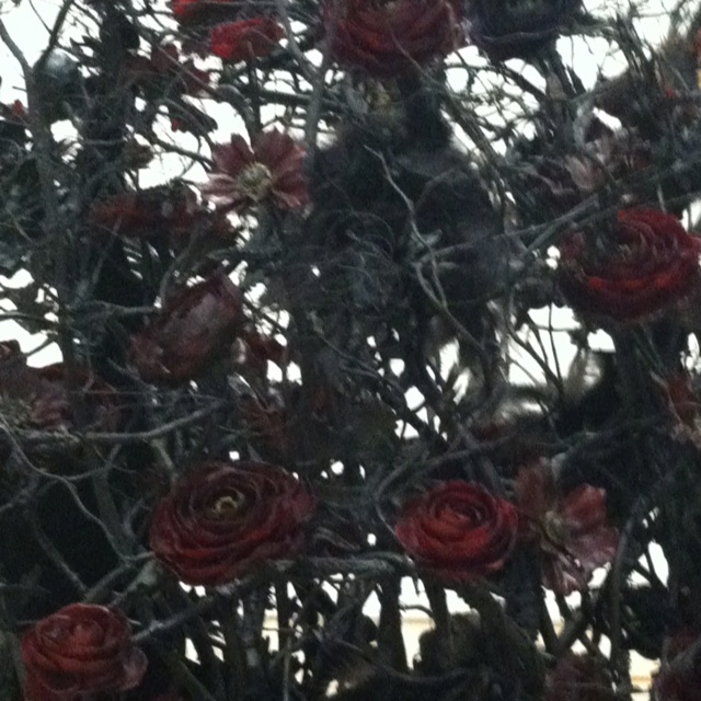 red roses are growing in the branches of a tree