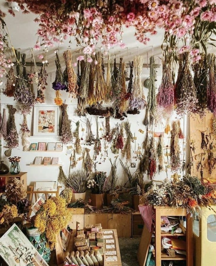 a room filled with lots of different types of flowers hanging from the ceiling and shelves