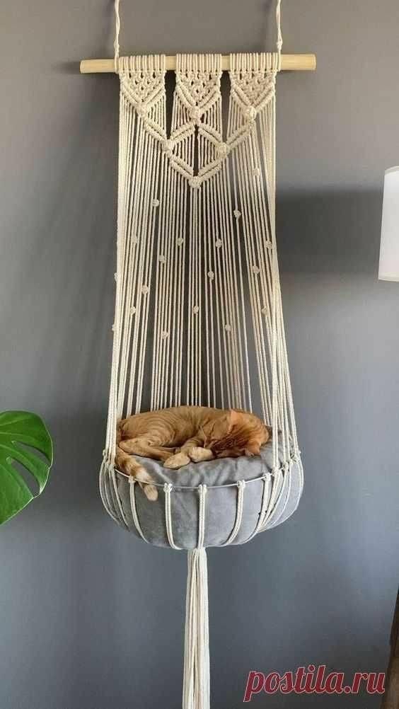 a cat sleeping in a hammock hanging from the ceiling