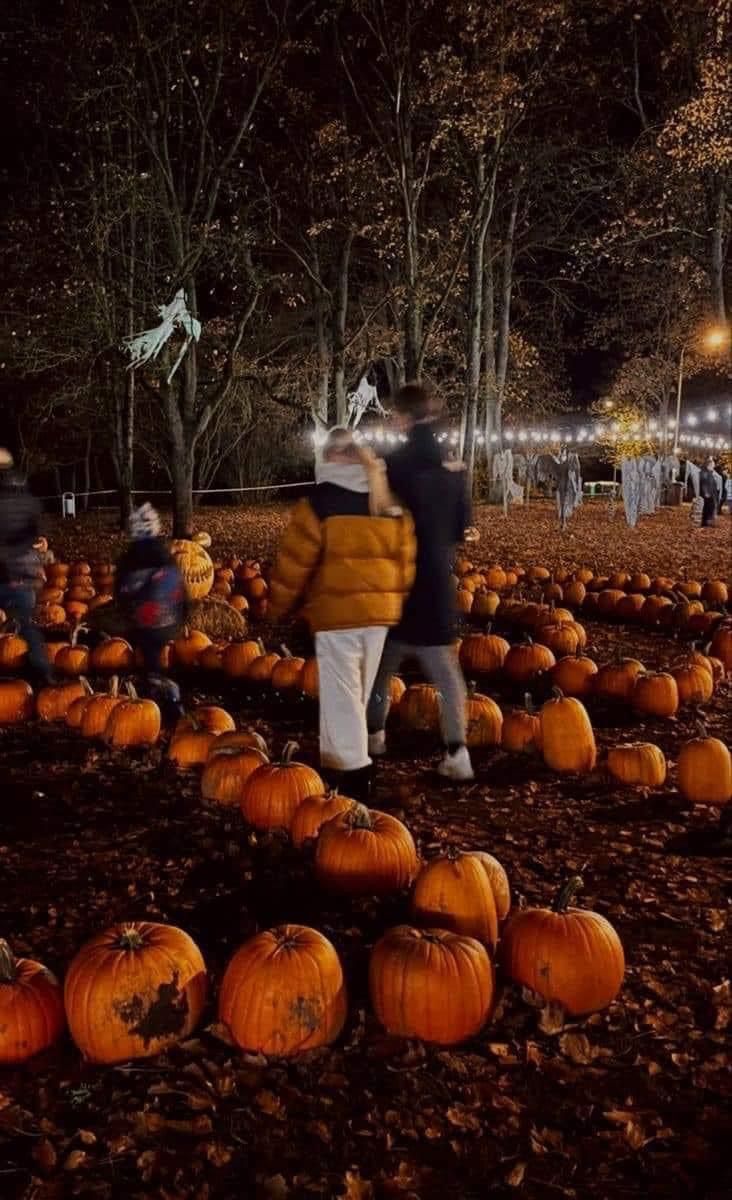 two people standing in the middle of a field full of pumpkins with lights on them