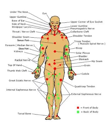 diagram of the human body with labels on each side and corresponding areas labeled in red