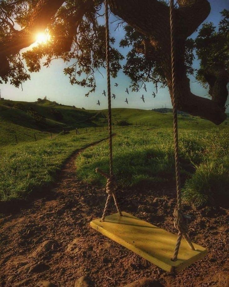 a wooden swing hanging from a tree in a field with the sun shining through the trees