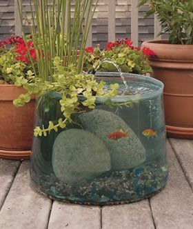 two fish swimming in an aquarium next to potted plants and flower pots on the ground