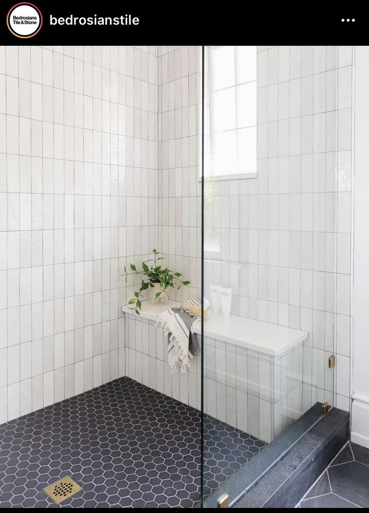 a bathroom with a glass shower door and tiled flooring, along with a plant in the corner