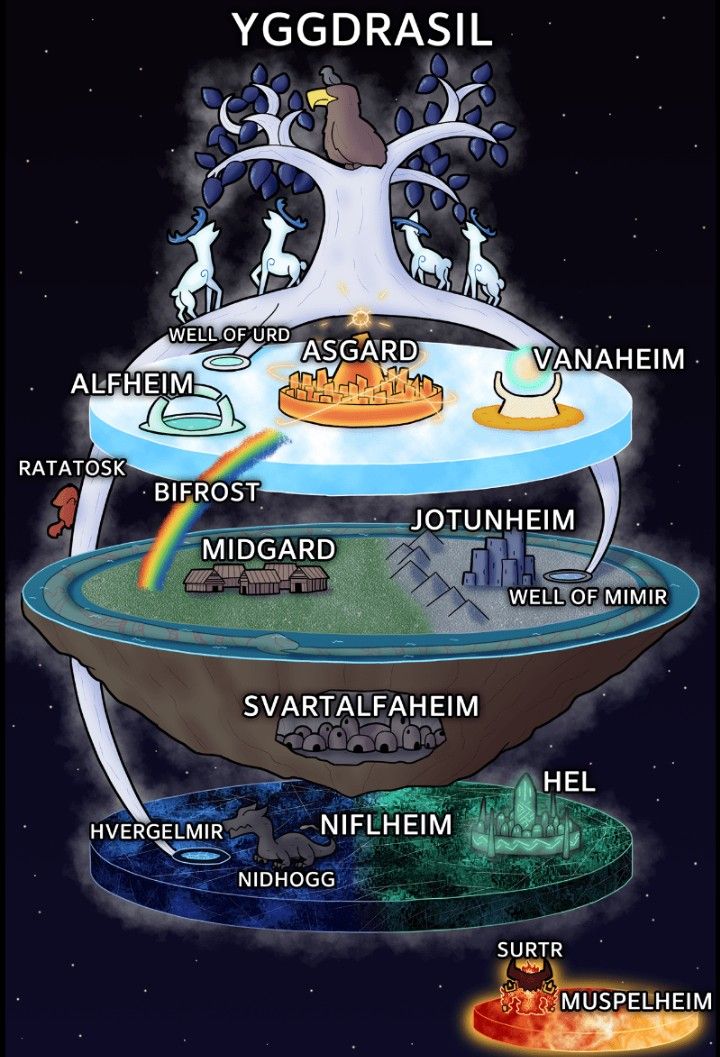 a diagram of the different types of animals and their names in each part of the image