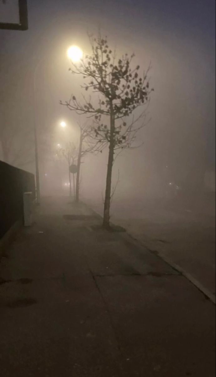 a foggy street at night with trees and street lights in the foreground on a dark, dreary day