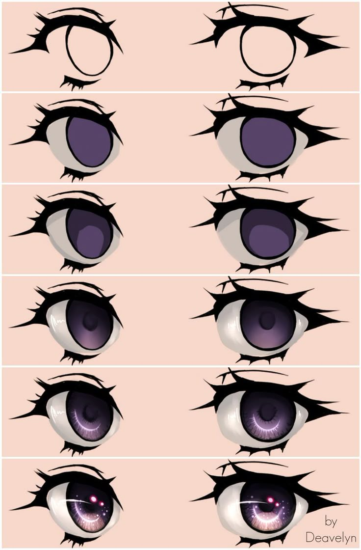 the different types and shapes of eyes