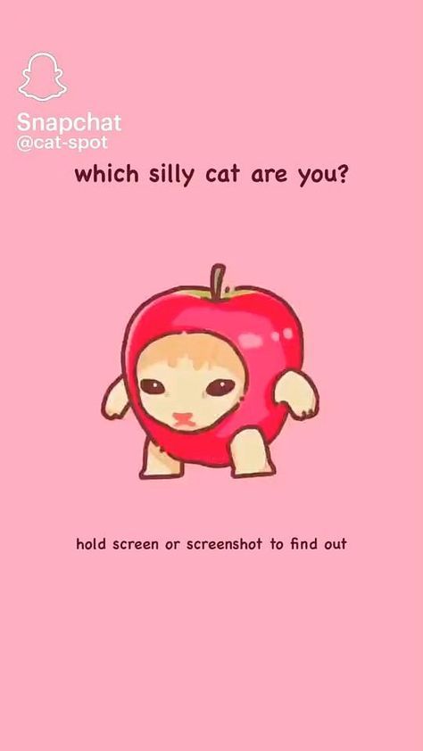 a pink background with an apple and text that reads, which silly cat are you?