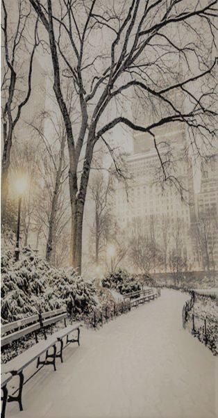 a snowy park with benches and trees