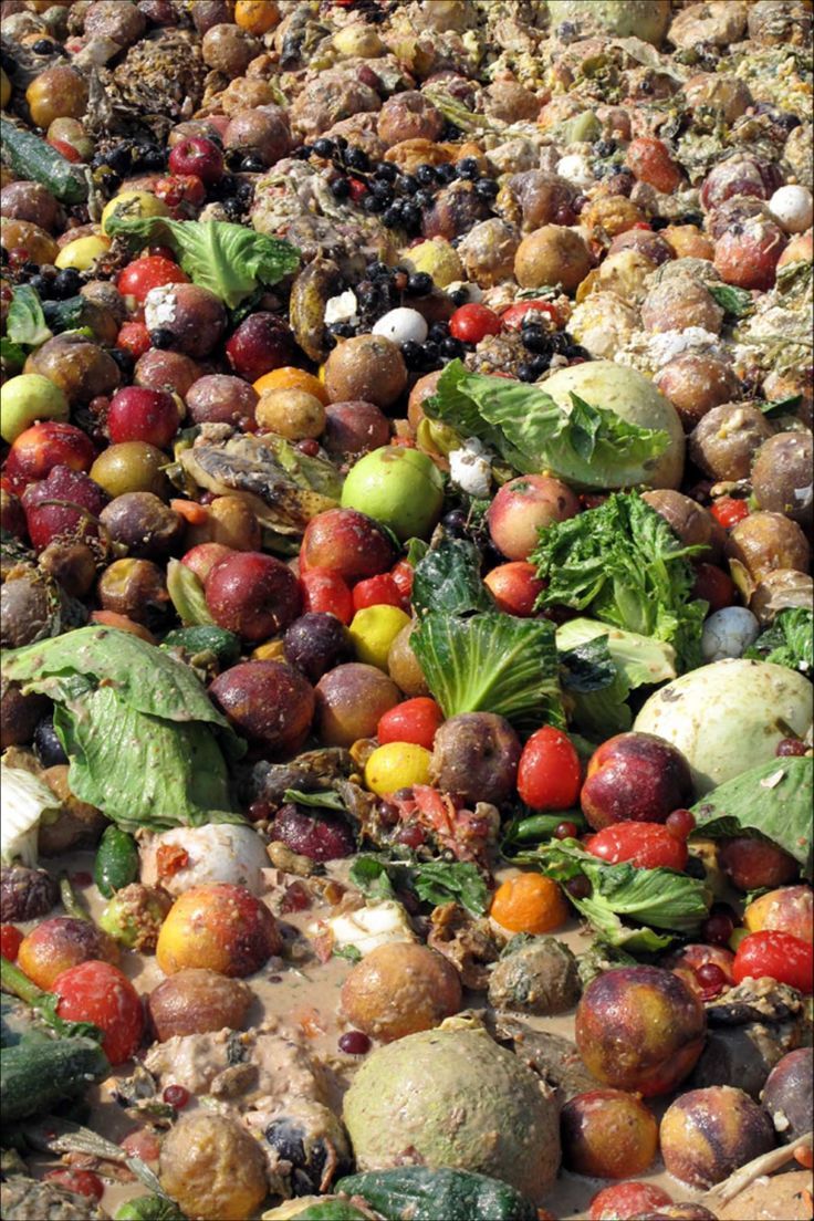 many different types of fruits and vegetables on the ground