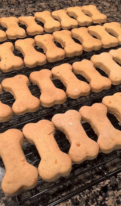 dog bone shaped cookies cooling on a rack